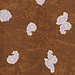 TOBACCO BROWN