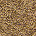 MUD